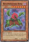 Product image for Regenerating Rose