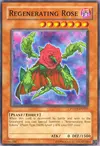 Product image for Regenerating Rose
