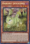 Product image for Danger!? Jackalope?