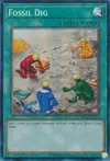 Product image for Fossil Dig