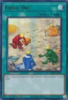 Product image for Fossil Dig