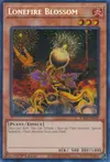 Product image for Lonefire Blossom
