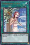 Product image for Forbidden Lance