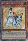 Product image for Rescue Cat