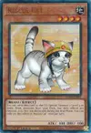 Product image for Rescue Cat
