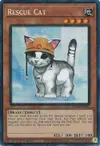 Product image for Rescue Cat
