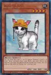 Product image for Rescue Cat
