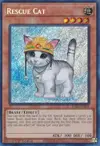 Product image for Rescue Cat