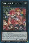 Product image for Traptrix Rafflesia