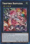 Product image for Traptrix Rafflesia