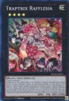 Product image for Traptrix Rafflesia