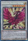 Product image for Black Rose Moonlight Dragon