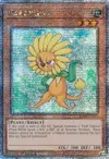 Product image for Dandelion