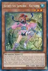 Product image for Six Samouraïs Secrets - Hatsume