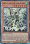 Product image for Tempest, Maître Dragon des Tempêtes