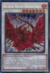 Product image for Black Rose Dragon