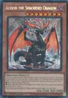 Product image for Albion the Shrouded Dragon
