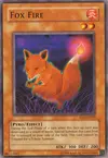 Product image for Fox Fire