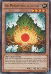 Product image for Eco, Mystical Spirit of the Forest