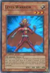 Product image for Level Warrior