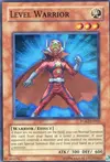 Product image for Level Warrior