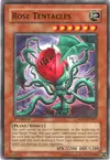 Product image for Rose Tentaculaire