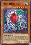 Product image for Rose Tentacles