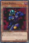 Product image for Cyber Raider