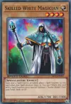 Product image for Skilled White Magician