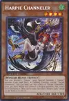 Product image for Médium Harpie