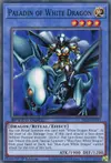 Product image for Paladin of White Dragon