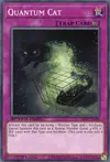 Product image for Quantum Cat