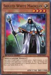 Product image for Skilled White Magician