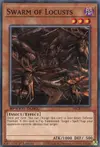 Product image for Swarm of Locusts