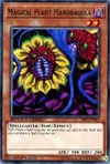 Product image for Magical Plant Mandragola