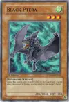 Product image for Black Ptera
