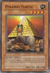 Product image for Pyramid Turtle