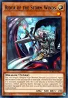 Product image for Rider of the Storm Winds