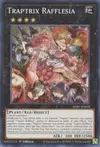 Product image for Traptrix Rafflesia