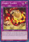 Product image for Ferret Flames