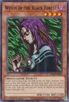 Product image for Witch of the Black Forest