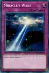 Product image for Miracle's Wake