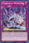 Product image for Cybernetic Overflow