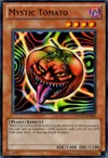 Product image for Tomate Mystique