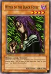 Product image for Witch of the Black Forest