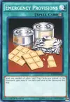 Product image for Emergency Provisions