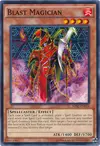 Product image for Le Magicien du Tourment