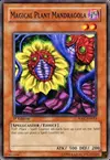 Product image for Magical Plant Mandragola