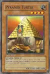 Product image for Pyramid Turtle