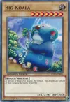 Product image for Big Koala